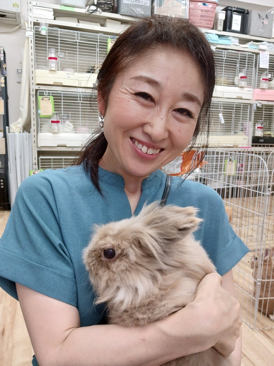 No. 1223 豊田ふわわライオンの公開用写真