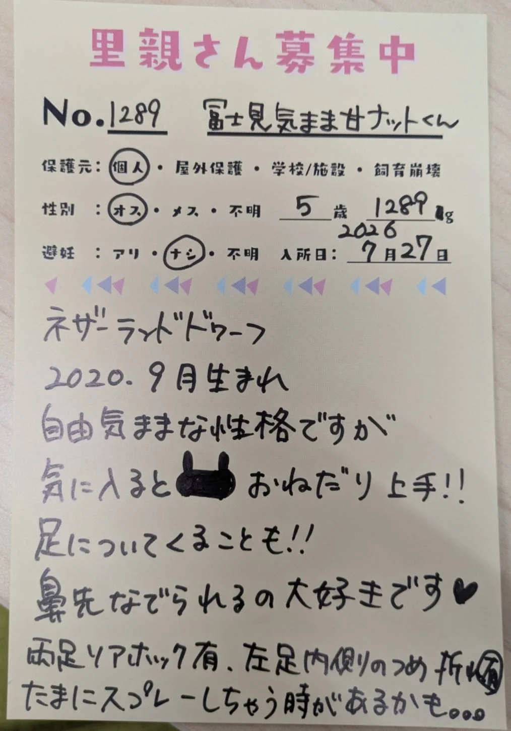 No. 1289 富士見気まま甘ナットの写真 1