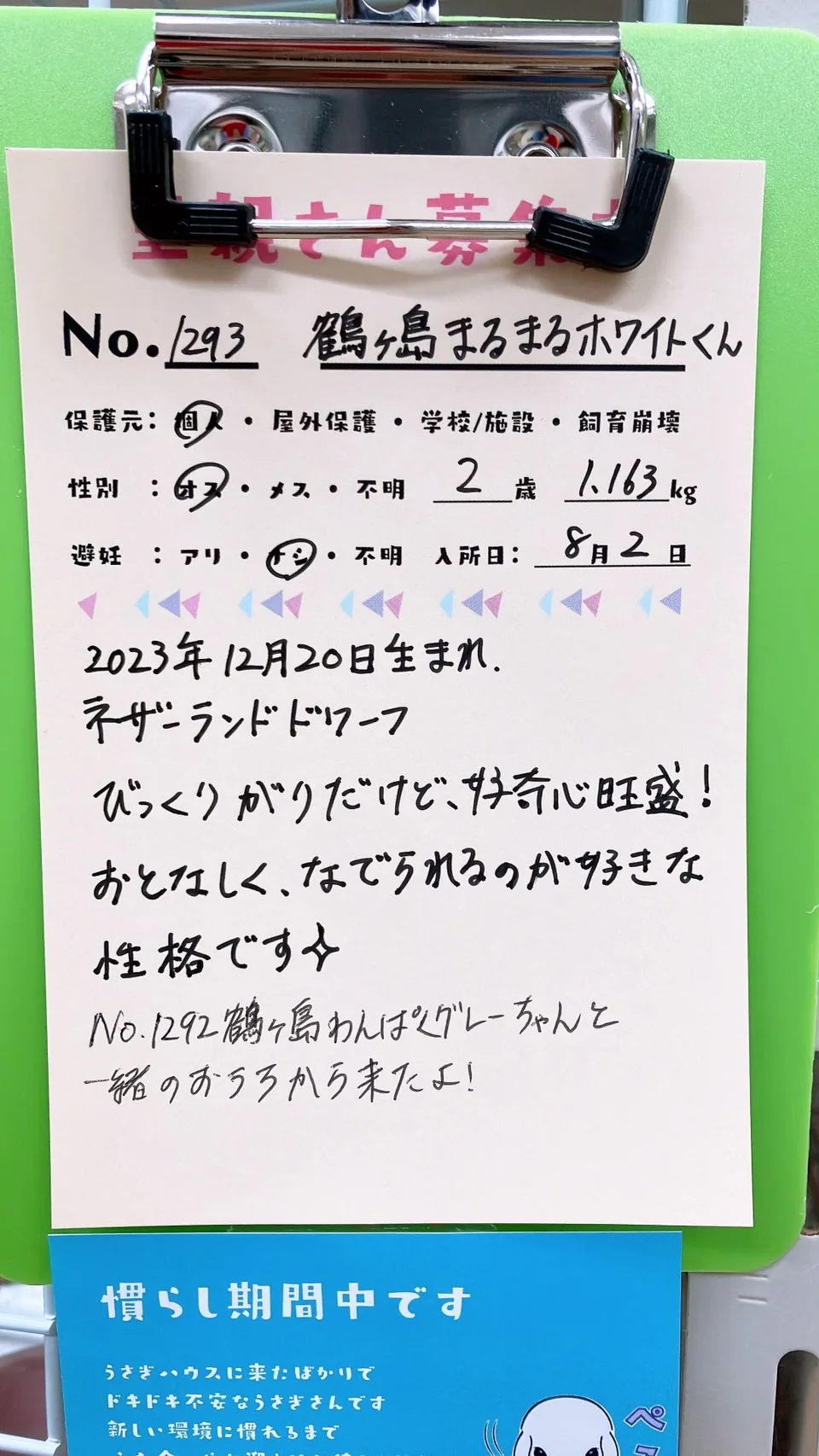 No. 1293 鶴ヶ島まるまるホワイトの写真 1