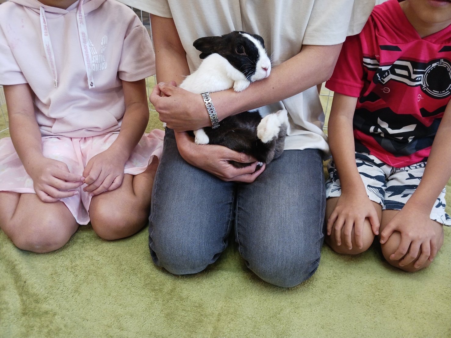 No. 1325 佐野ちょこまかハチ黒ちゃんの公開用写真