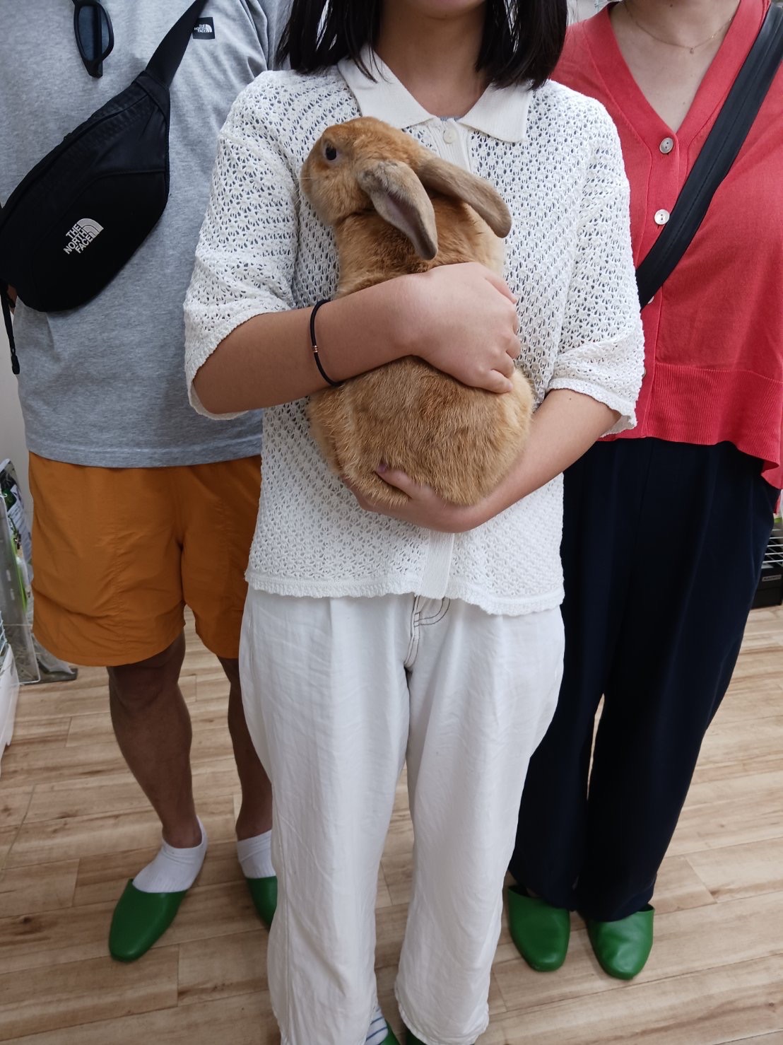 No. 1361 田方みみBIGオレくんの公開用写真