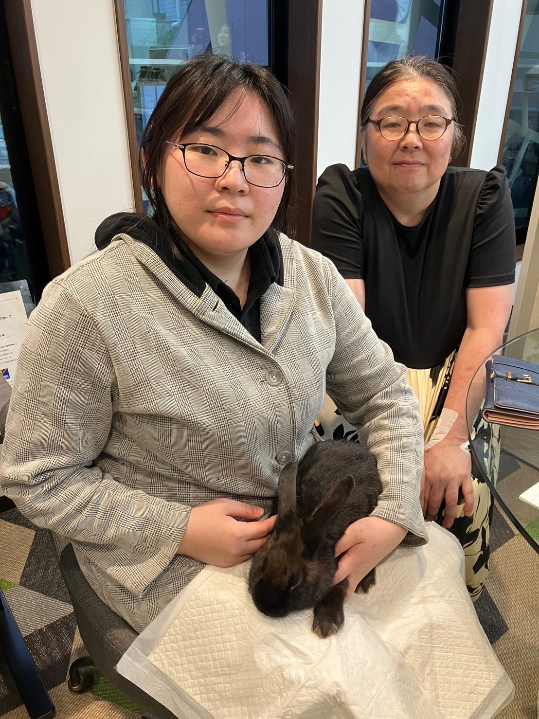 No. 1364 田方まるちゃミニ⑨の公開用写真