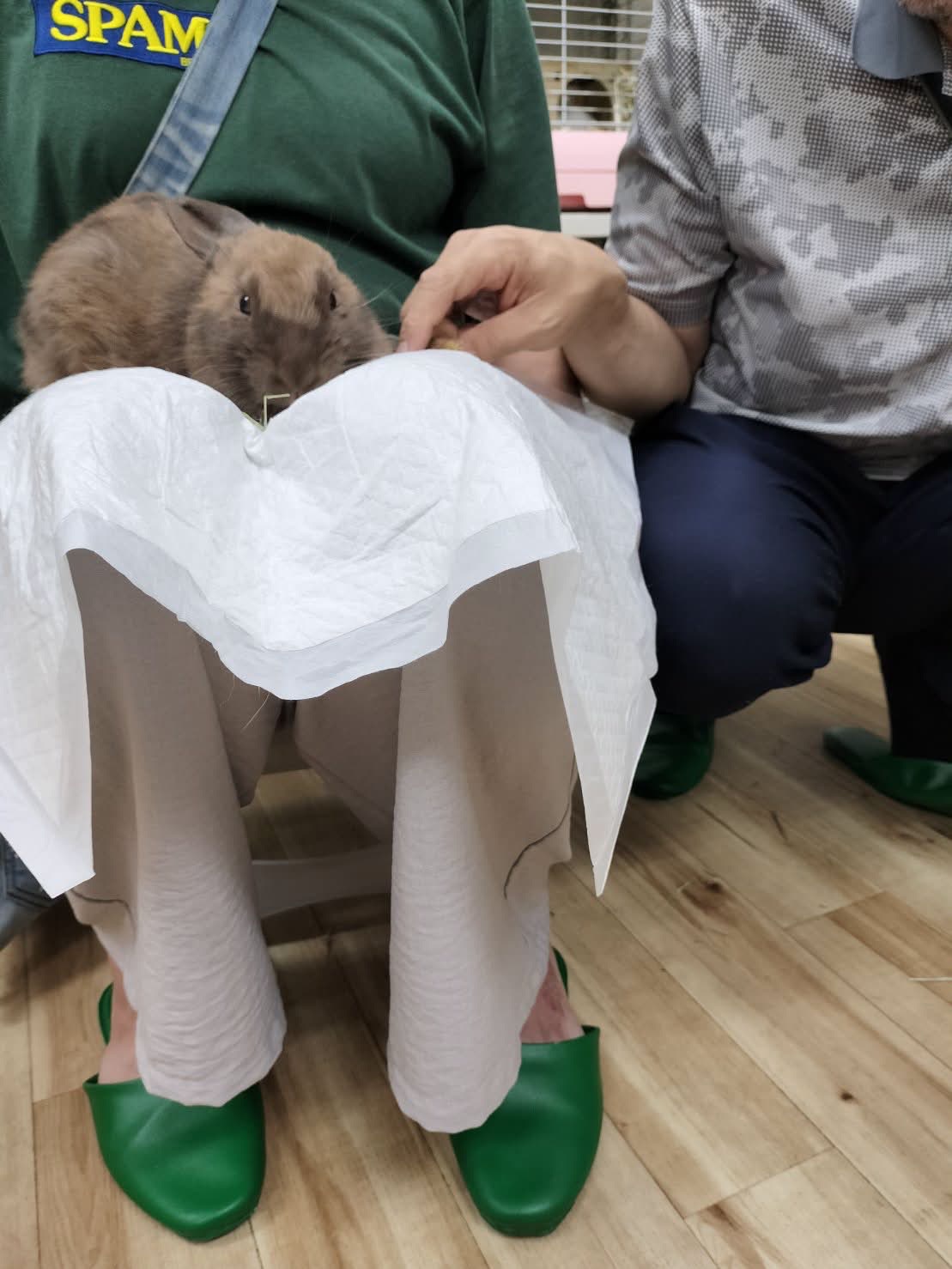 No. 1374 田方ビビちょこれーとの公開用写真