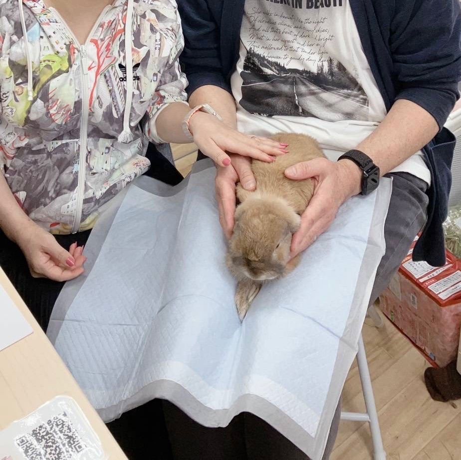 No. 1379 市原遊トートロップくんの公開用写真