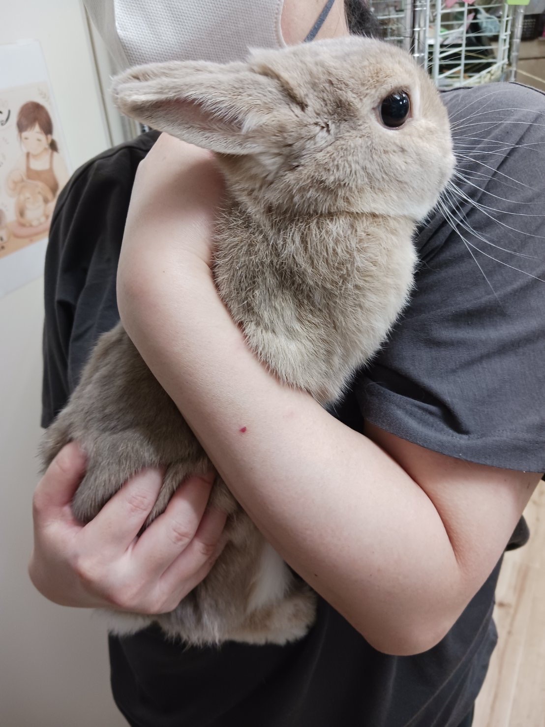 No. 1387 中央おりこネザーちゃんの公開用写真