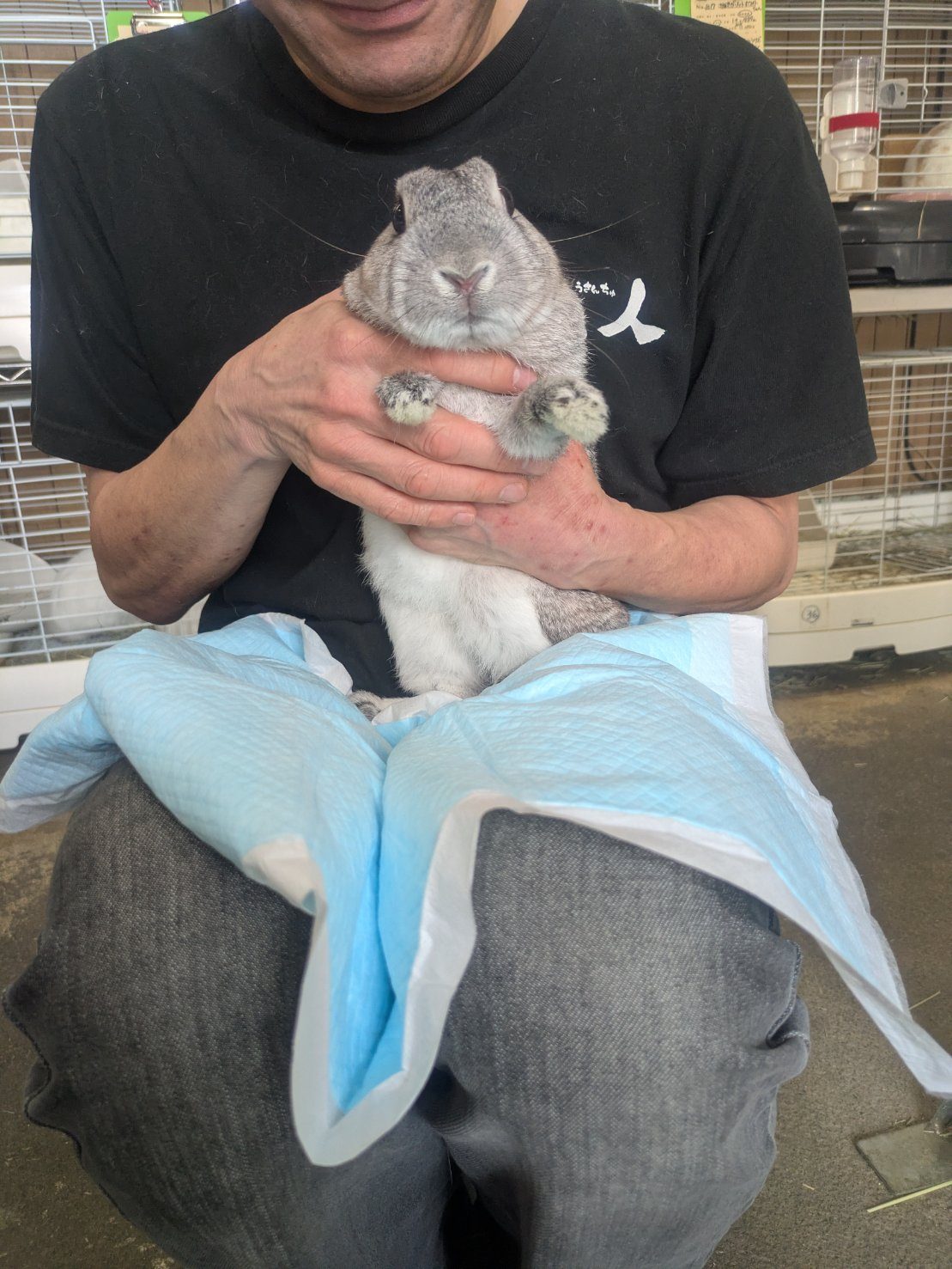 No. 1388 さいたまビビチラくんの公開用写真