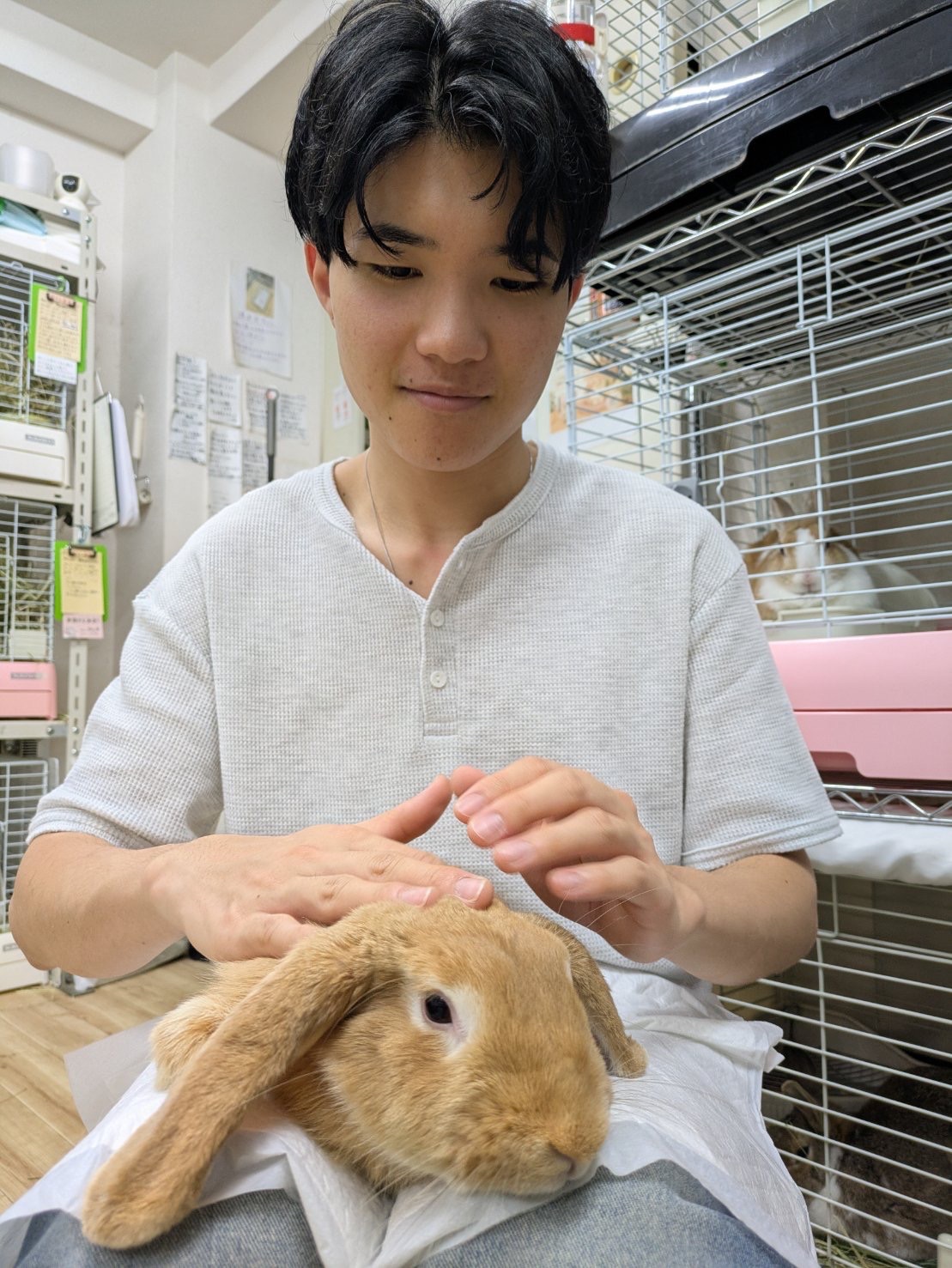No. 1392 千葉愛嬌オレロップの公開用写真