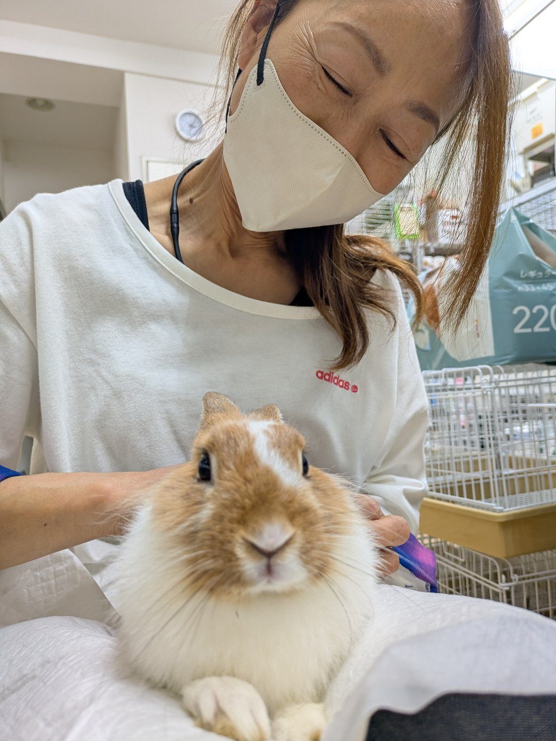 No. 1397 あきる野ひだりふわブロちゃんの公開用写真