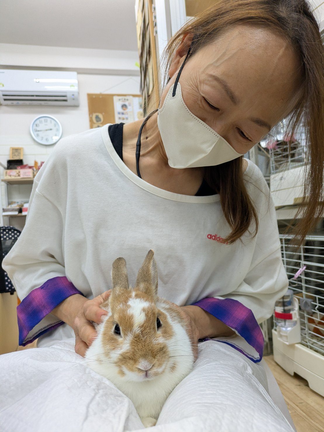 No. 1398 あきる野みぎもちブロちゃんの公開用写真